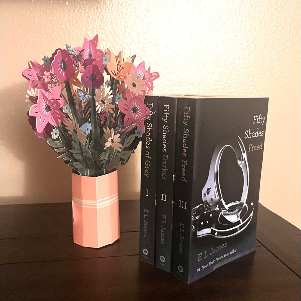Fifty Shades Trilogy Set - Books